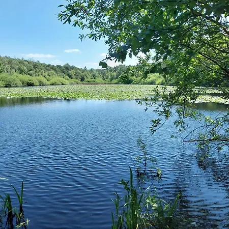 Fw Steingraf Waldblick דירה *
