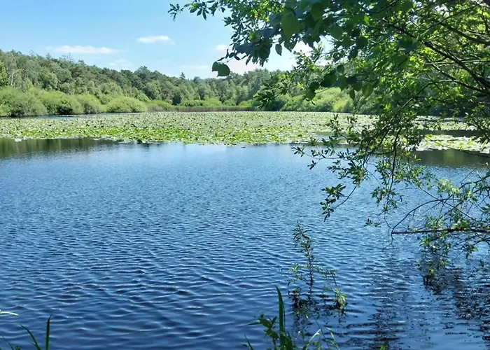 Fw Steingraf Waldblick Appartement *